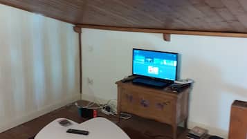 TV, fireplace, books