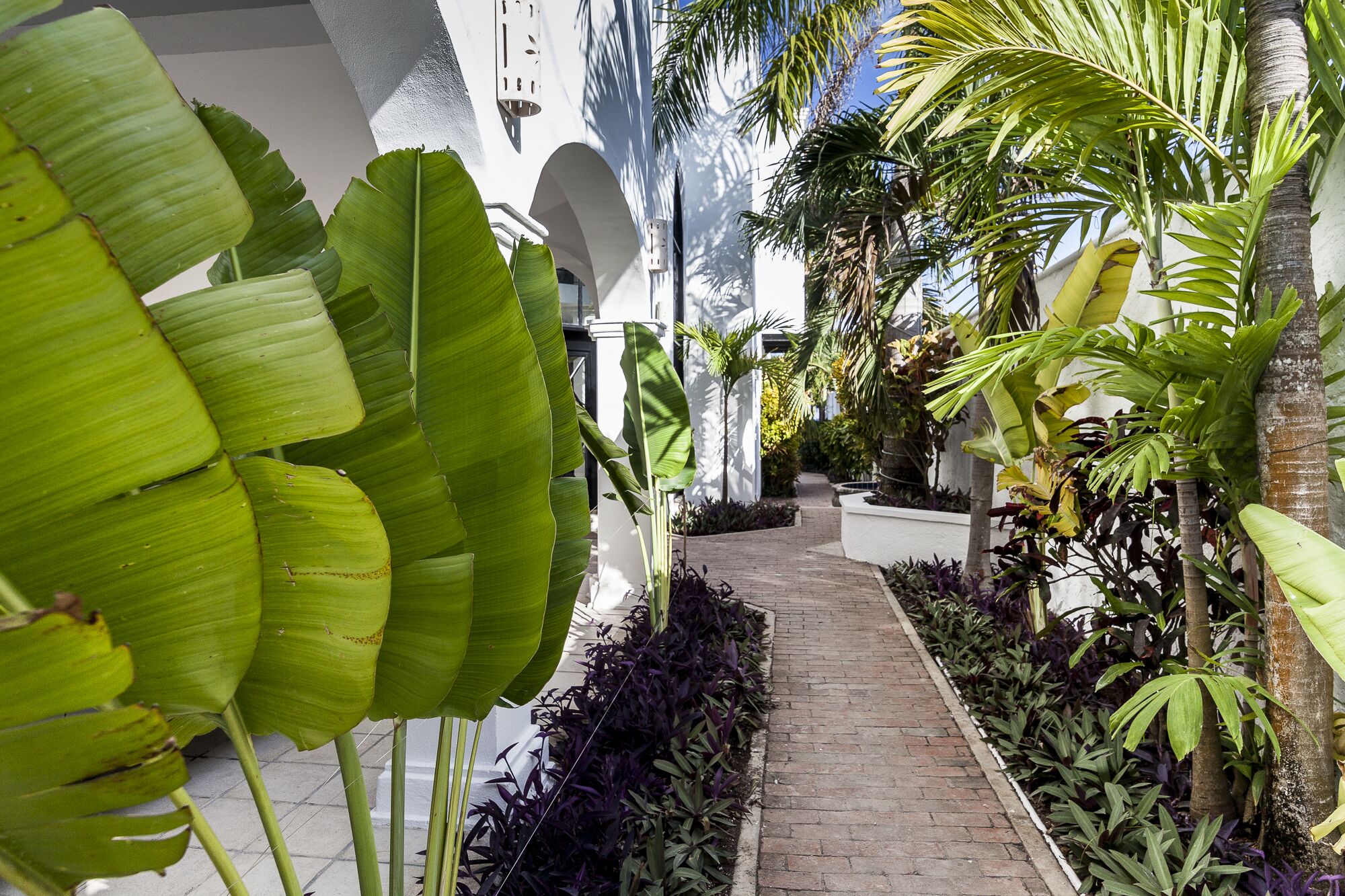 10 Best LongTerm Rentals In Puerto Morelos, Mexico Trip101