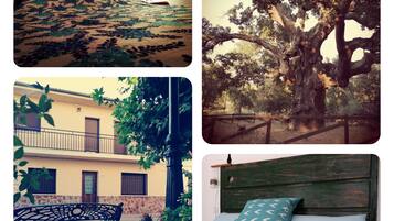 2 chambres, fer et planche Ă repasser, draps fournis