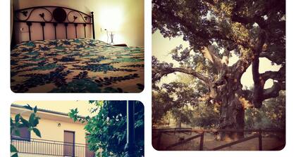 Rural house Ambroz y Plata