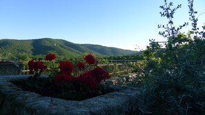 Property grounds - Villa Print Cabatè - Fiorile Apartment (Passignano sul Trasimeno)