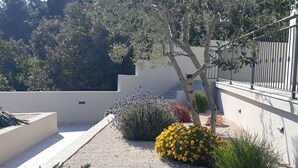 Een dakterras met diverse planten en bloemen, een witte muur en een metalen hek.