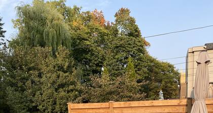 Gorgeous detached house in north Lawrence Park