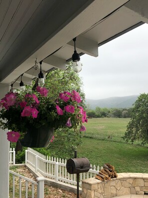 Property grounds - Cottage on the Frio River (Leakey)