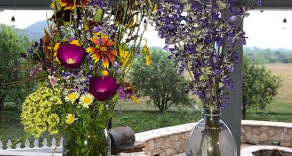 Cottage on the Frio River