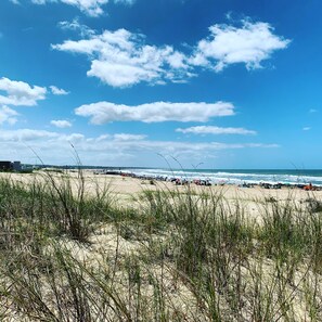Sun-loungers, beach towels