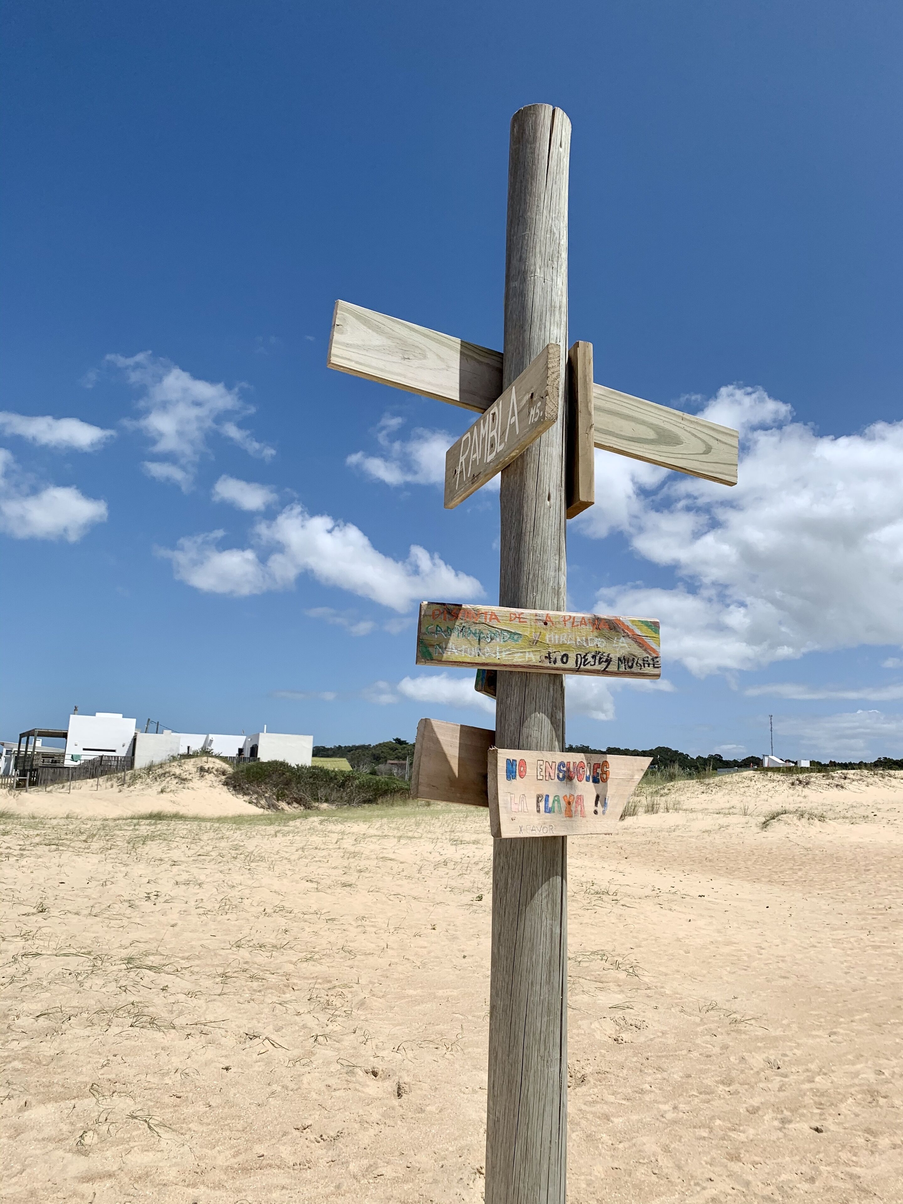 Sun loungers, beach towels