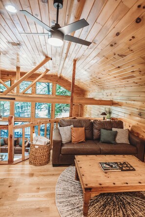 Una Smart TV, una chimenea, libros