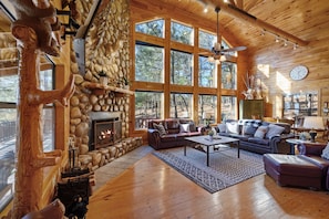 Smart TV, fireplace, books