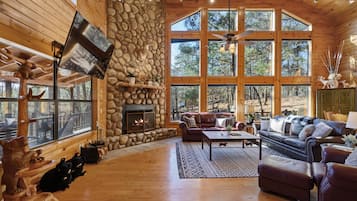 Smart TV, fireplace, books