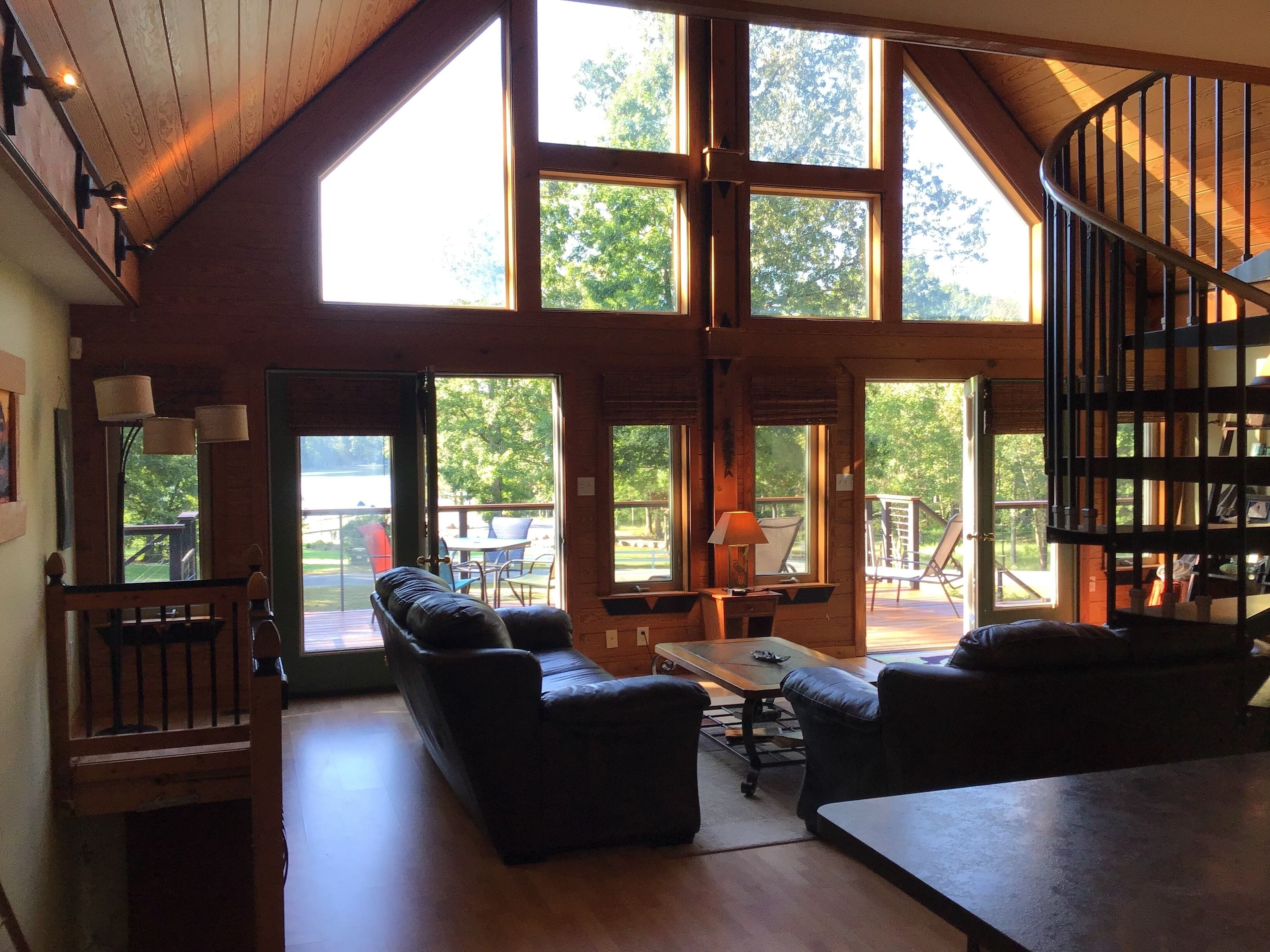 Télévision, lecteur de DVD, table de tennis de table, vidéothèque