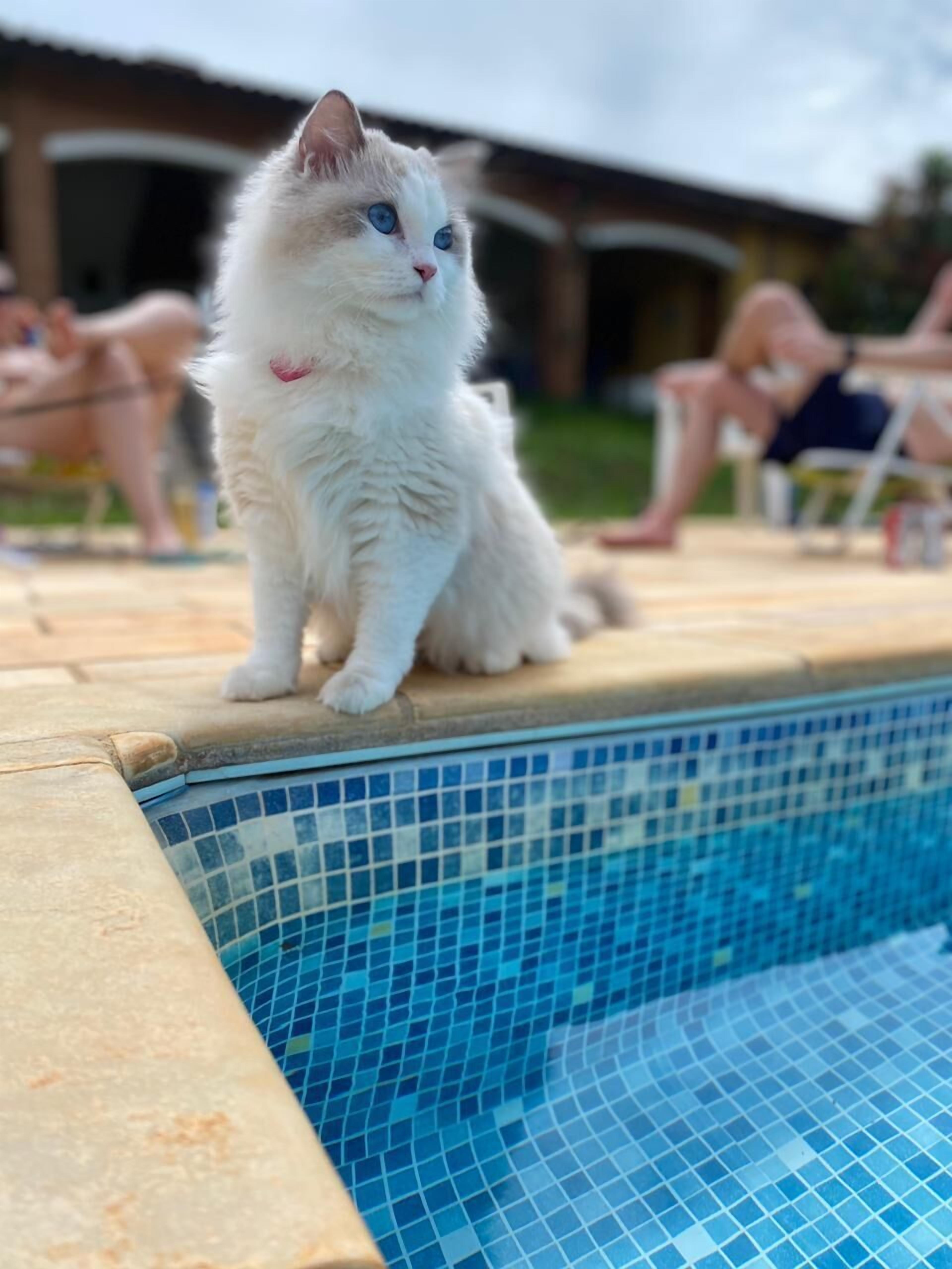 Een buitenzwembad en een verwarmd zwembad