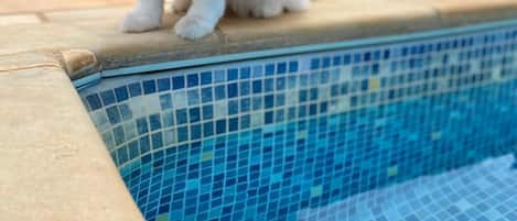 حمّام سباحة خارجي، حمّام سباحة مُدفَّأ