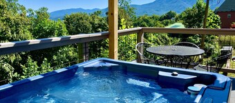 Spring Time in the Smokies! Beautiful MTN Views!