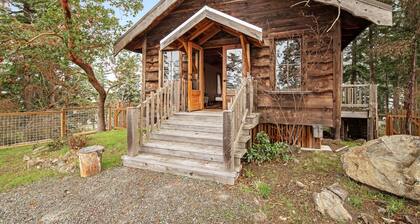 Secluded & stylish eco love nest right in town - perfect for work & play