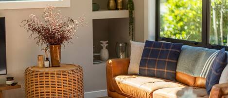 TV connectée, cheminée, livres