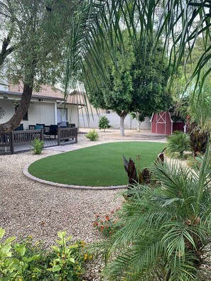 A well-maintained backyard with a lawn, patio furniture, and a red barn. - Cozy HOME w/ Citrus Garden & Patio (Chandler)