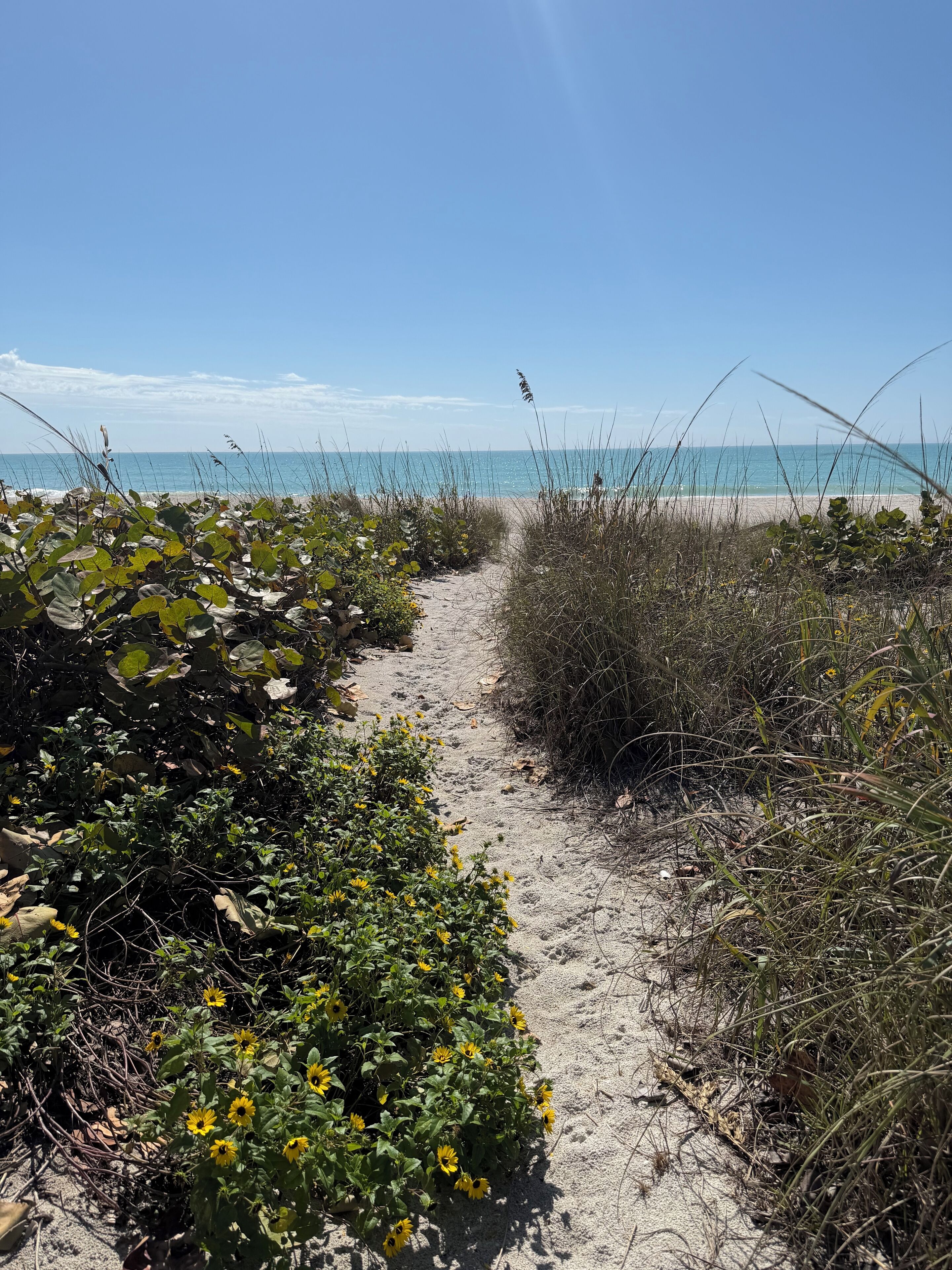 Beach nearby, sun loungers, beach towels