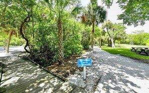 Stroll along the serene pathway lined with lush greenery and palm trees, leading to a playground area.