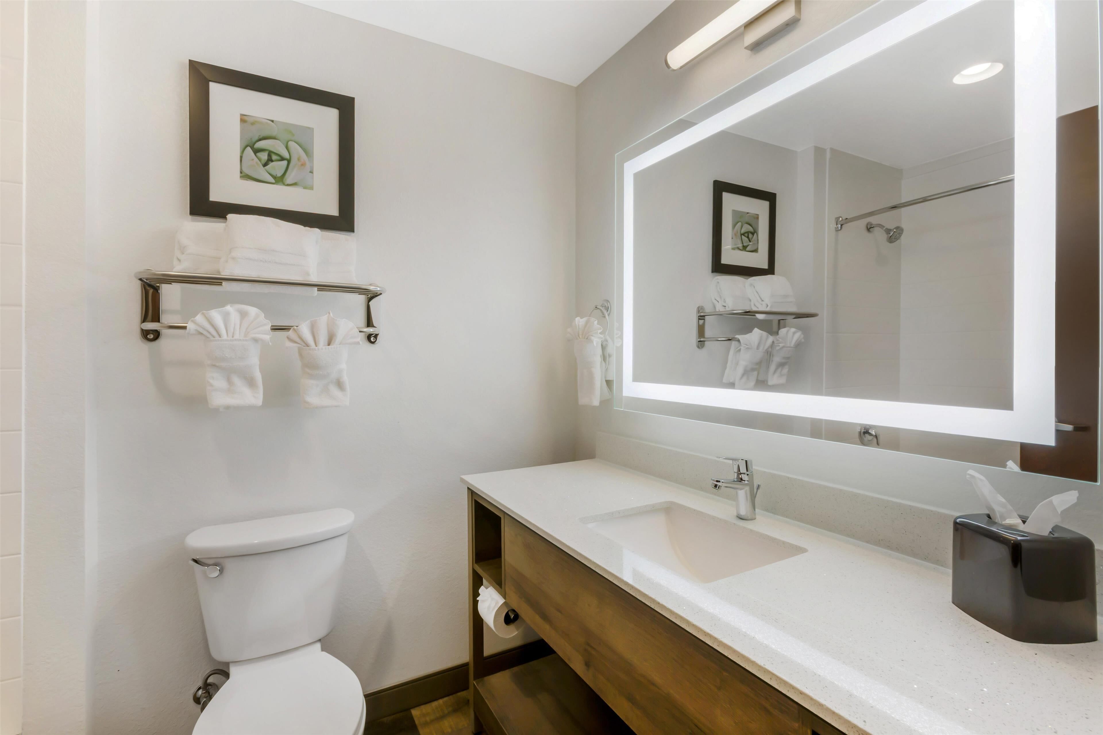 standard room, 2 queen beds, non smoking, refrigerator & microwave (larger room) | bathroom | free toiletries, hair dryer, towels