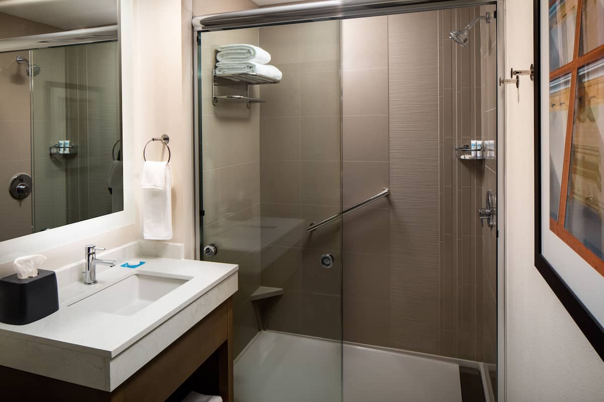 hair dryer, towels, soap, shampoo