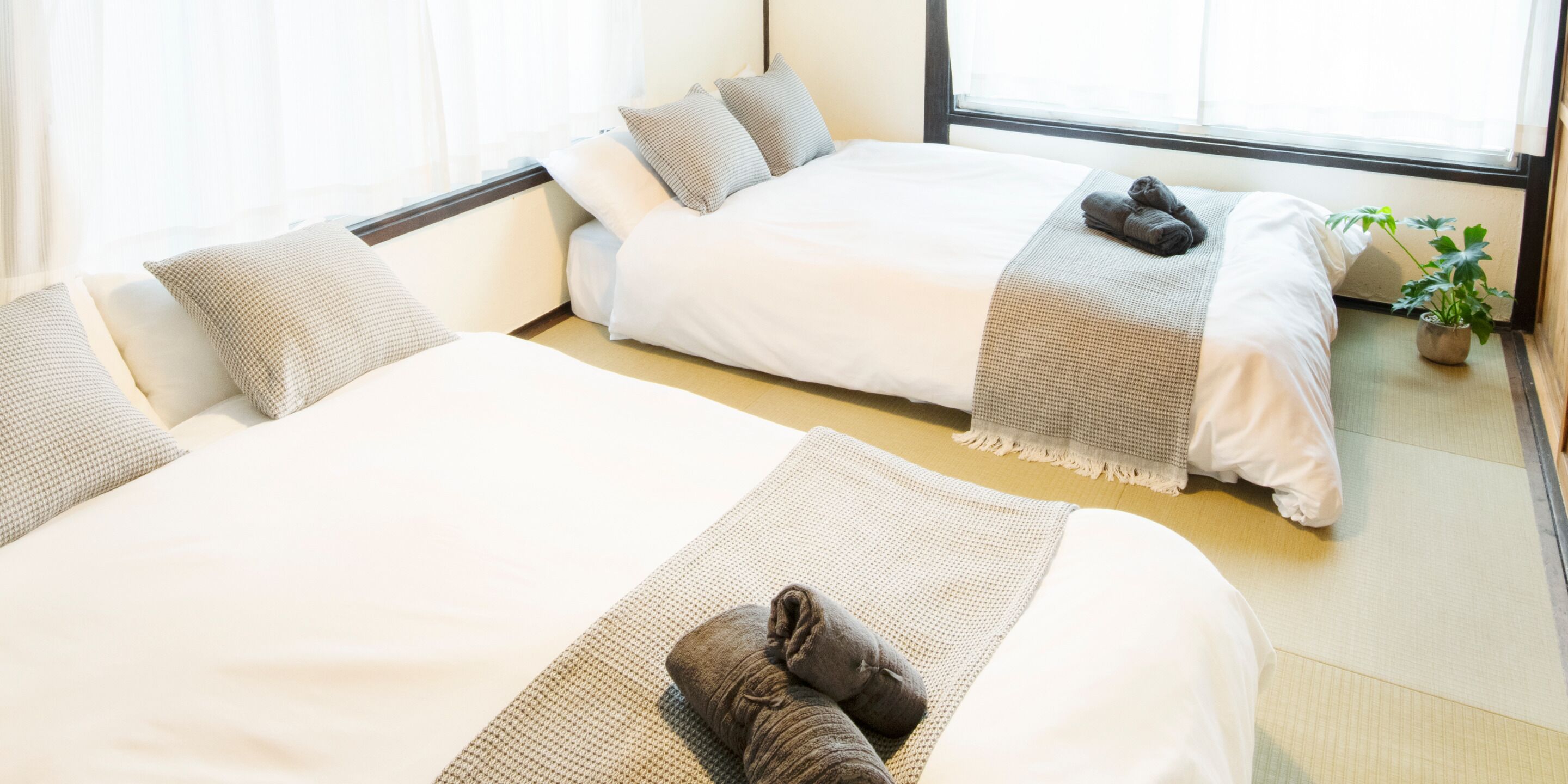 Two single beds with white bedding, a small potted plant, and a window with sheer curtains.