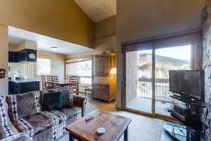 TV, fireplace, DVD player, books