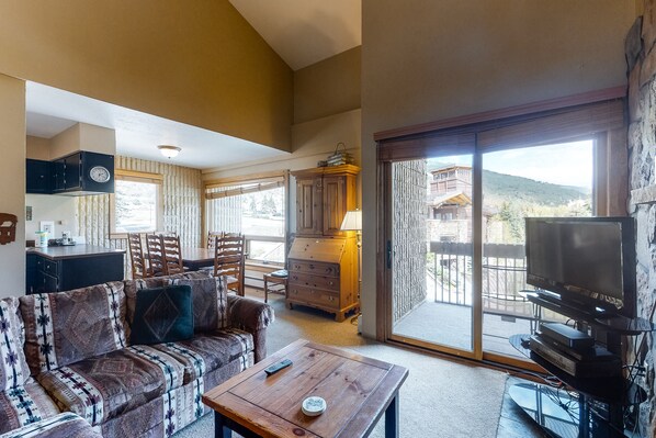 TV, fireplace, DVD player, books