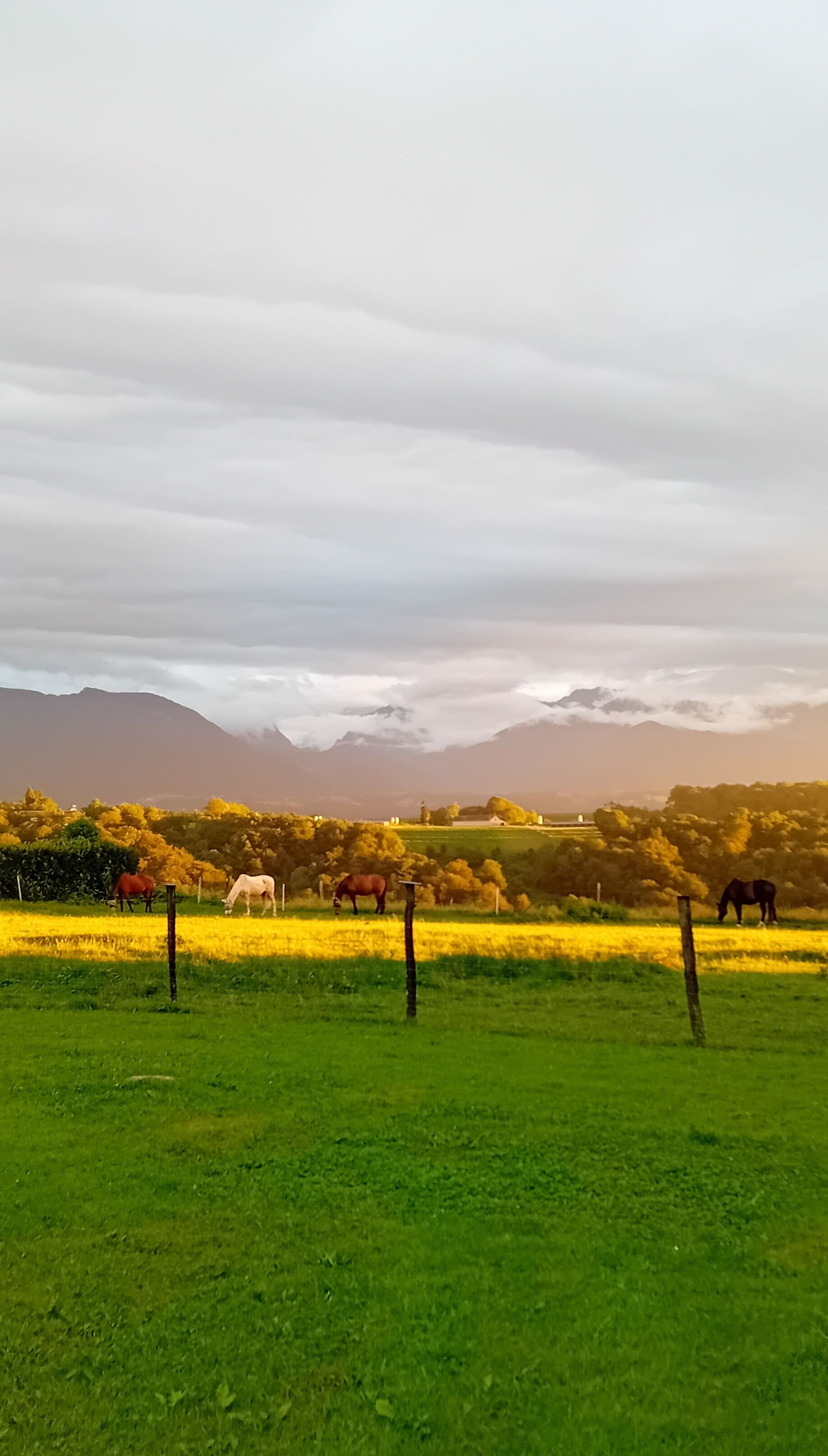 The 3 Hills, PANORAMA over the Pyrenees
