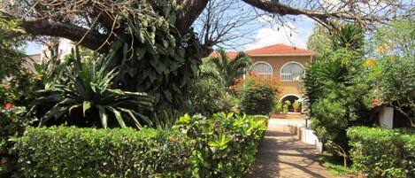 A pathway leading to a building with a red-tiled roof, surrounded by lush greenery and various plants.