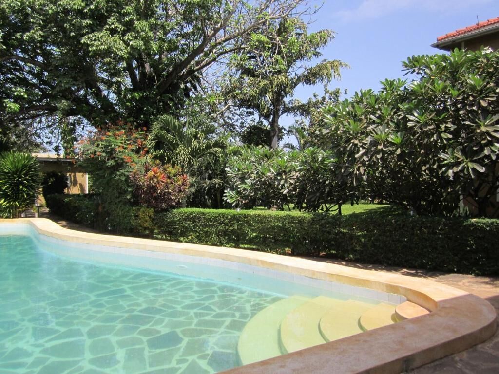 A swimming pool with clear water, surrounded by lush greenery and a stone pathway.