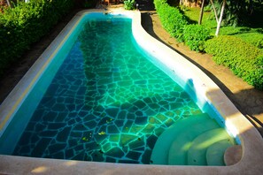 A swimming pool with a mosaic tile design, surrounded by greenery and a stone pathway.