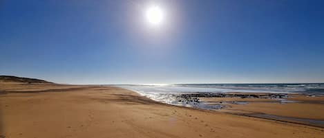 Nära stranden