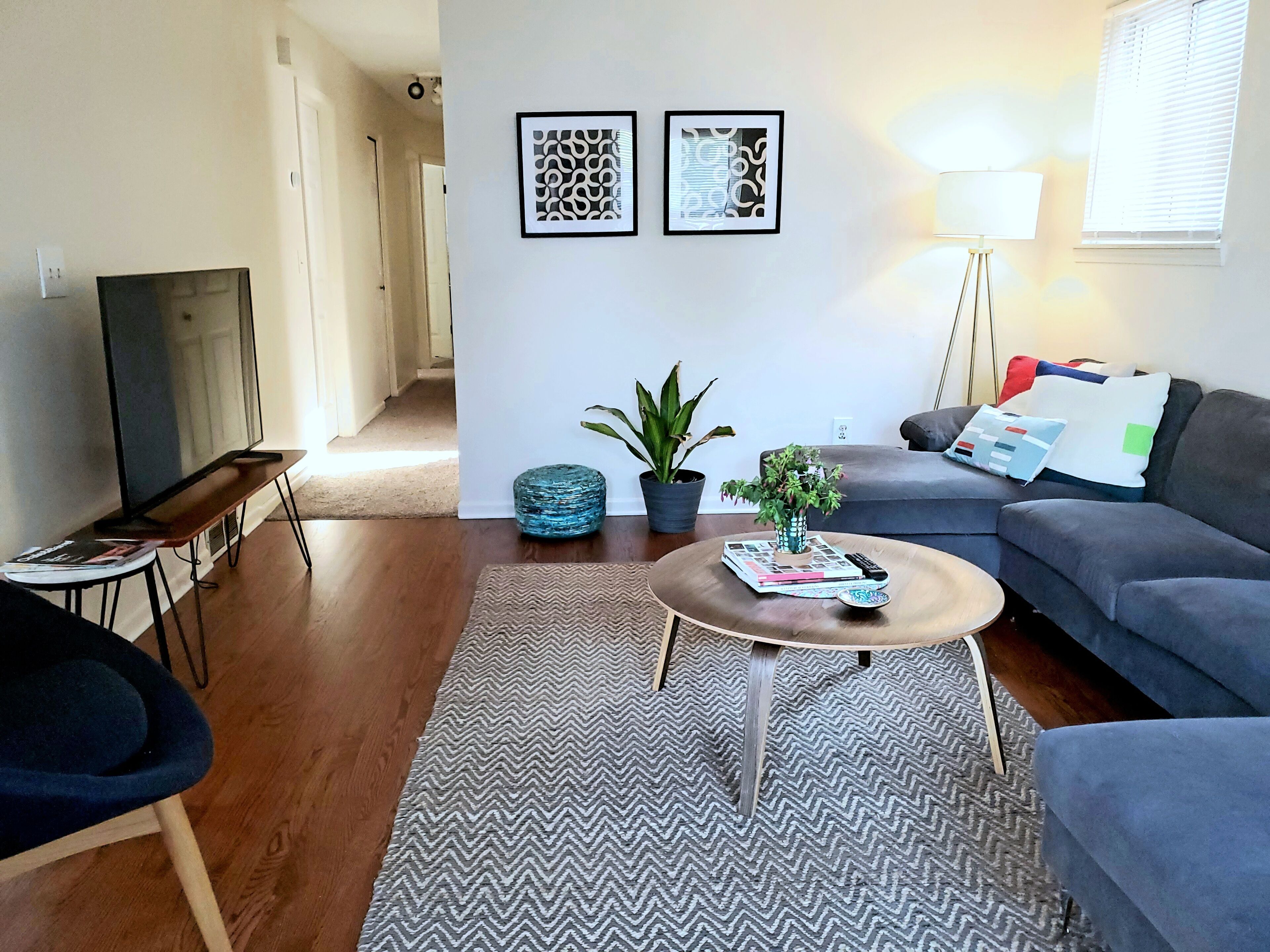 A living room with a sofa, a coffee table, a TV on a stand, two framed pictures on the wall, and a potted plant.