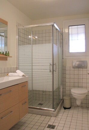 Hair dryer, towels, soap, shampoo