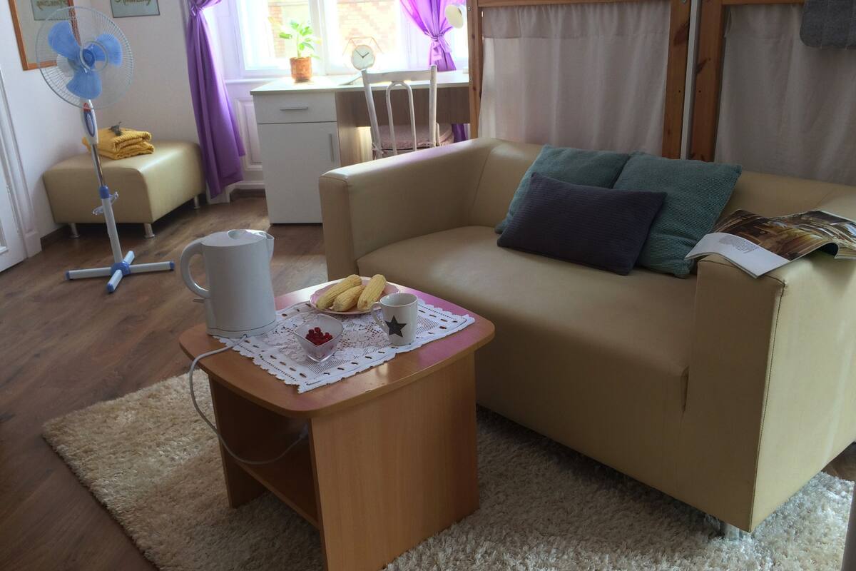 Basic Shared Dormitory | Desk, laptop workspace, WiFi (free)