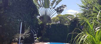 Lofty with pool exclusive for guests!