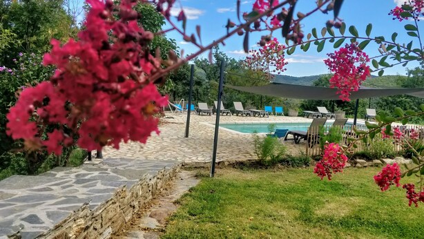 Un área de piscina con sillas de descanso y un sendero de piedra.
