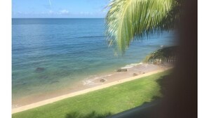 A beach with clear water, a sandy shore, and a grassy area. - Casa Sack Ocean Front apartment  (Rincon)
