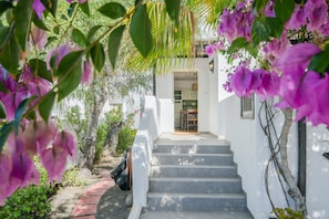 Un bâtiment blanc avec un escalier menant à une porte, entouré de verdure et de fleurs violettes.