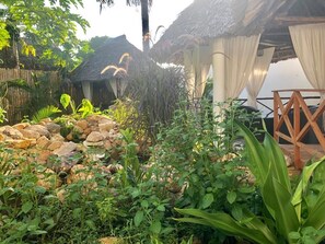 Property grounds - Beautiful paradise (diani)