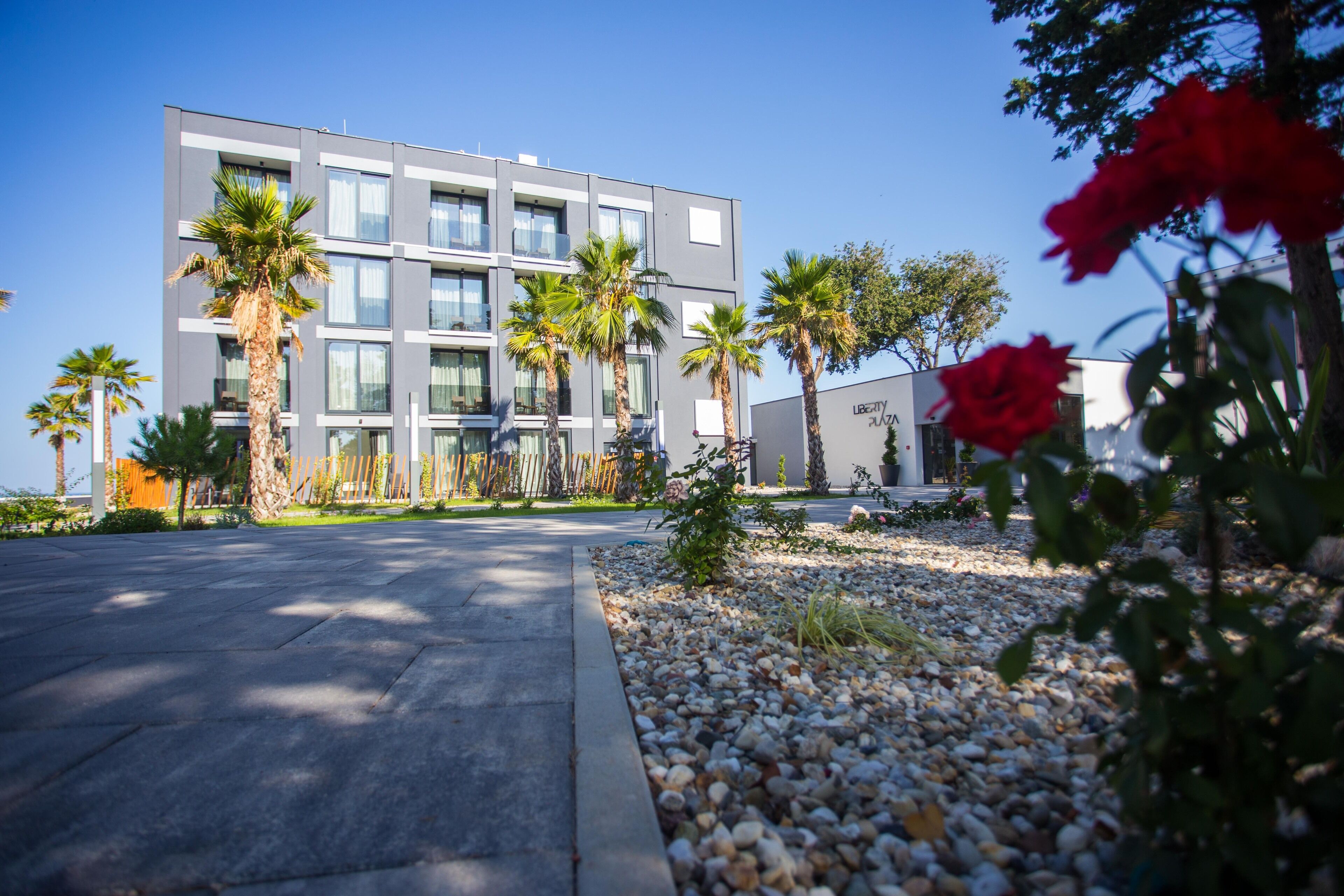 A modern building with a paved entrance, palm trees, and a garden area with pebbles and flowers.