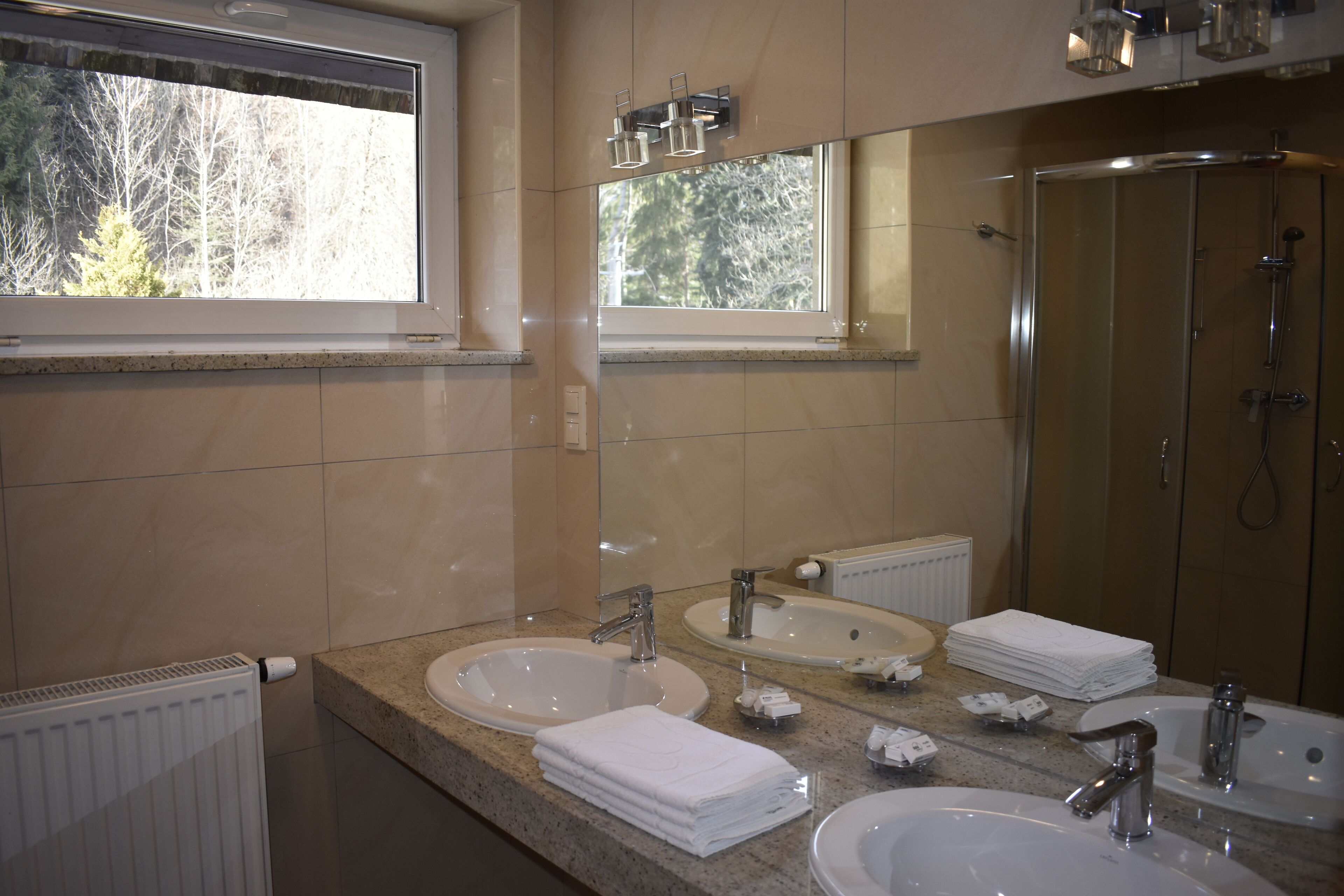 A modern bathroom with two sinks, a large mirror, and a glass-enclosed shower.