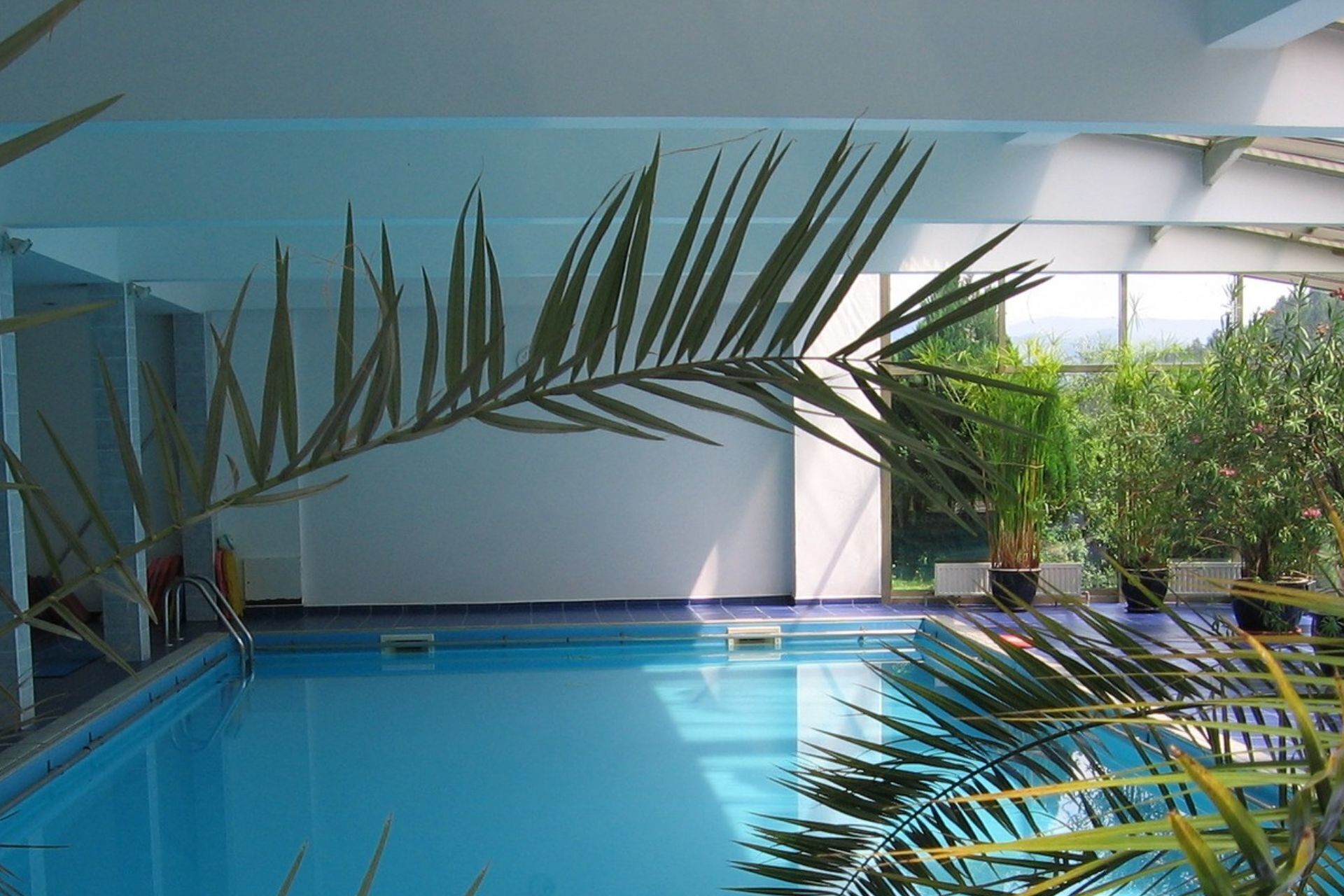 An indoor swimming pool with clear blue water, surrounded by potted plants and a view of greenery outside.