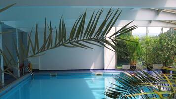 An indoor swimming pool with clear blue water, surrounded by potted plants and a view of greenery outside.