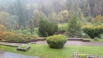 A garden with a stone pathway, a central bush, and a forested hillside in the background.