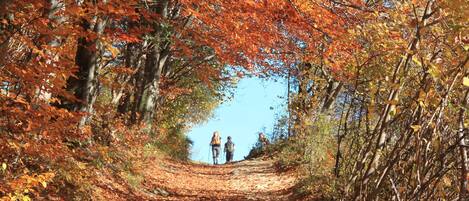 Hiking
