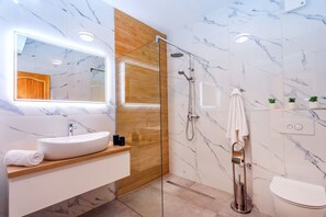 Shower, hair dryer, bathrobes, slippers