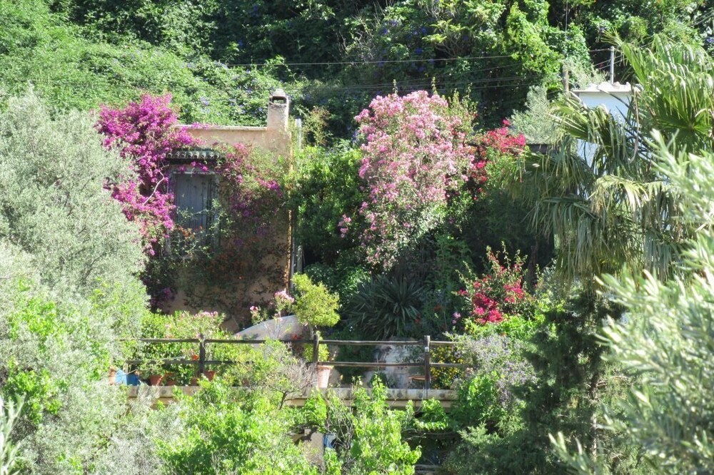 Holiday house Orgiva for 1 - 2 persons with 1 bedroom - Holiday home