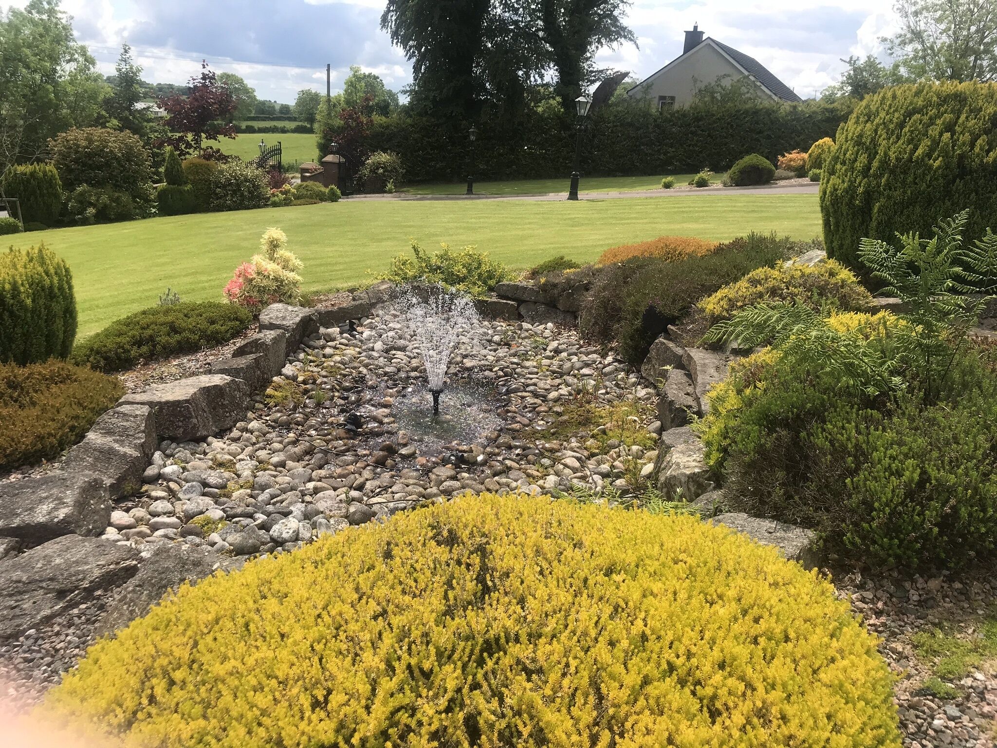 A garden with a water feature, surrounded by various shrubs and a lawn.
